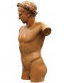 Torso di Apollo greco romano in terracotta