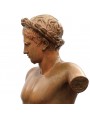 Torso di Apollo greco romano in terracotta