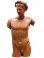 Torso di Apollo greco romano in terracotta