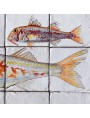 Pannello maiolica pesci Sarago fasciato