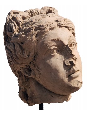 small Roman venus Terracotta head