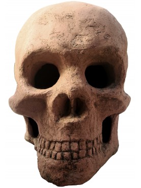great Terracotta skull of the late 1900s