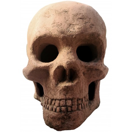 great Terracotta skull of the late 1900s