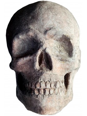 half Terracotta wall skull