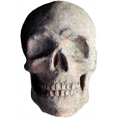 half Terracotta wall skull