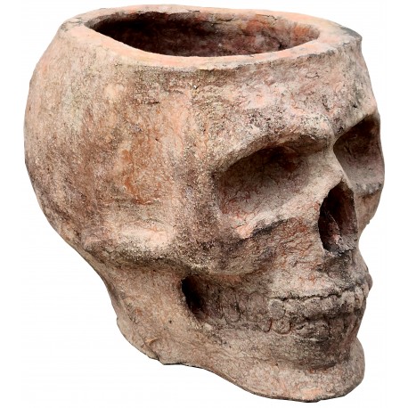 Seventeenth-century skull of our production in vase shape