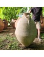 Campanian oil amphora H 112 cm