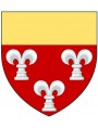 The arms of the Frescobaldi. Colors of the coat of arms.