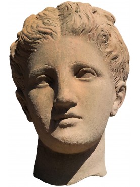 Testa di Apollo in terracotta - copia romana dei Musei Capitolini