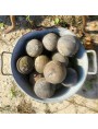 16 ancient French bowls - petanque - the game of bowls