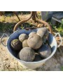 16 ancient French bowls - petanque - the game of bowls