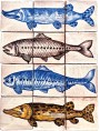 BLUE PIKE - MANGANESE SALMON - BLUE SALMON - YELLOW PIKE